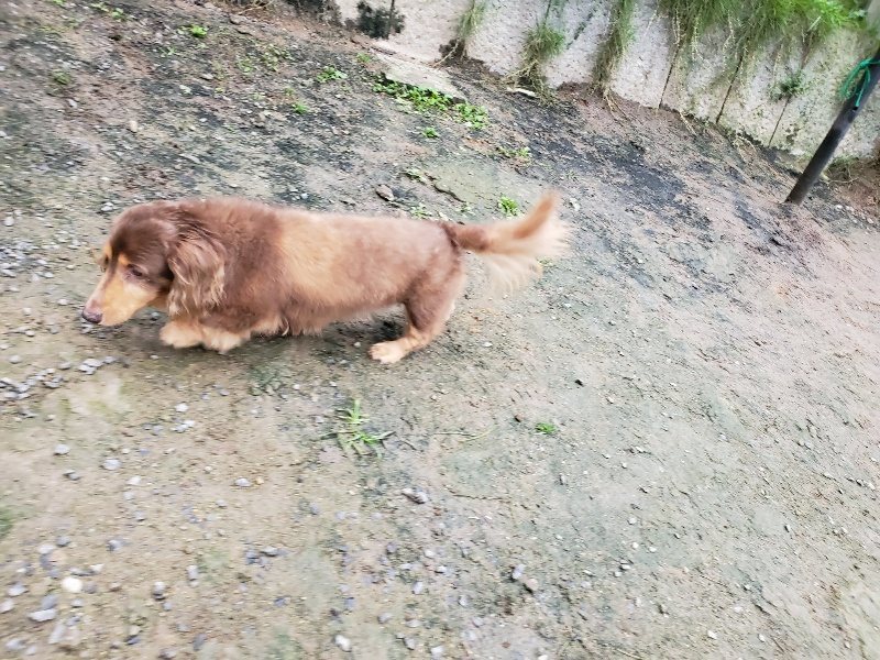 f:id:roukenhome-ann:20191021113726j:plain
