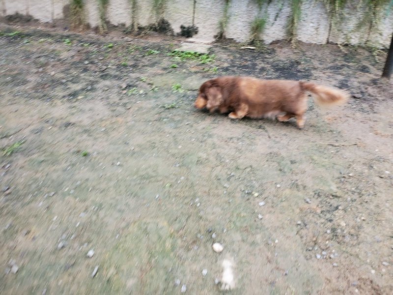 f:id:roukenhome-ann:20191021113739j:plain