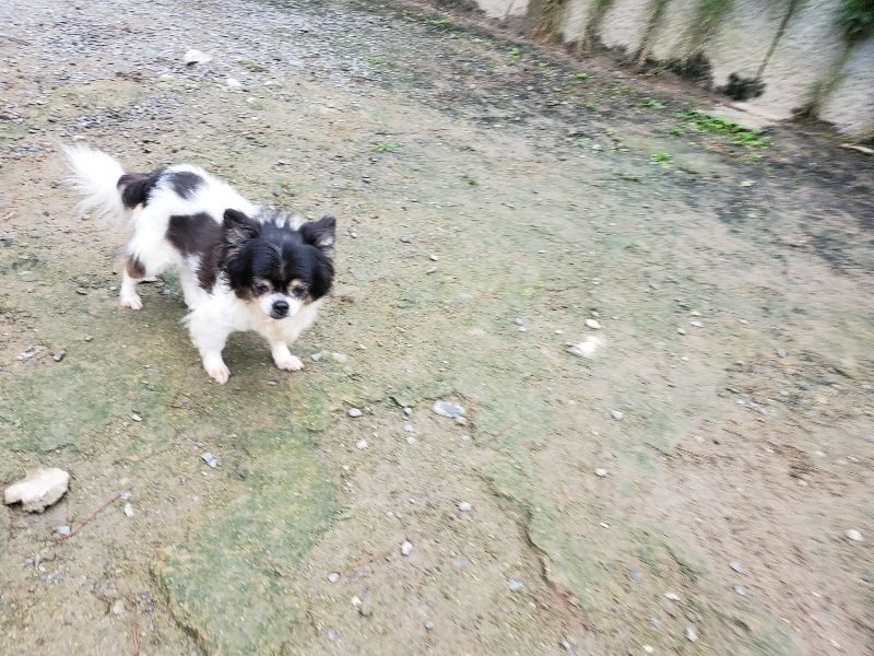 f:id:roukenhome-ann:20191021113848j:plain