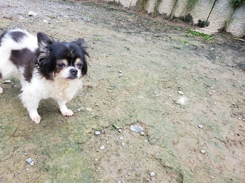 f:id:roukenhome-ann:20191021113918j:plain