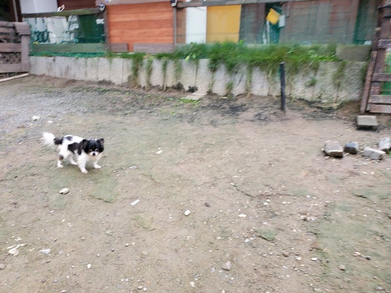 f:id:roukenhome-ann:20191021113934j:plain