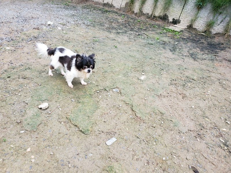 f:id:roukenhome-ann:20191021113957j:plain