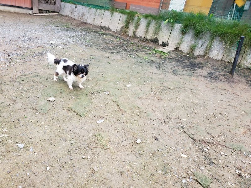 f:id:roukenhome-ann:20191021114037j:plain