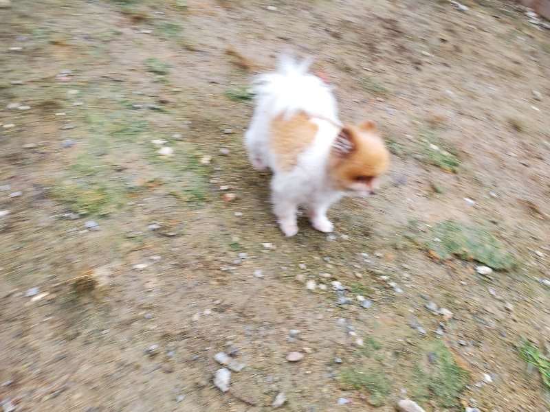 f:id:roukenhome-ann:20191021114144j:plain