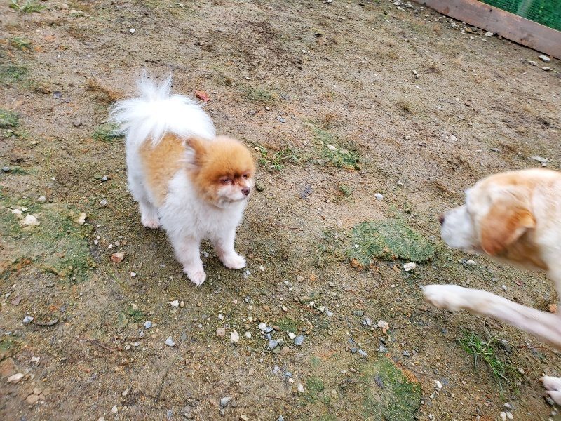 f:id:roukenhome-ann:20191021114209j:plain