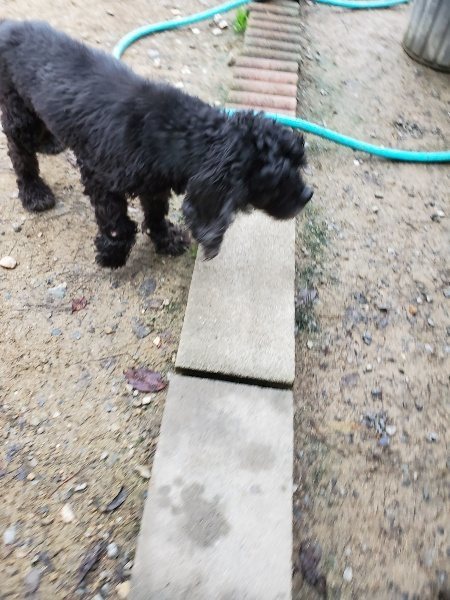 f:id:roukenhome-ann:20191021114452j:plain