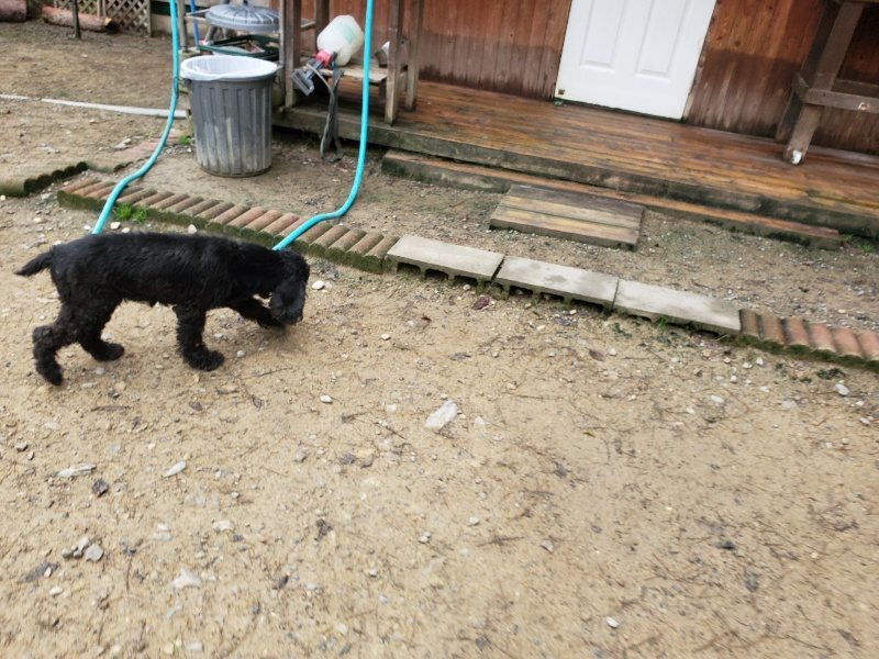 f:id:roukenhome-ann:20191021114549j:plain