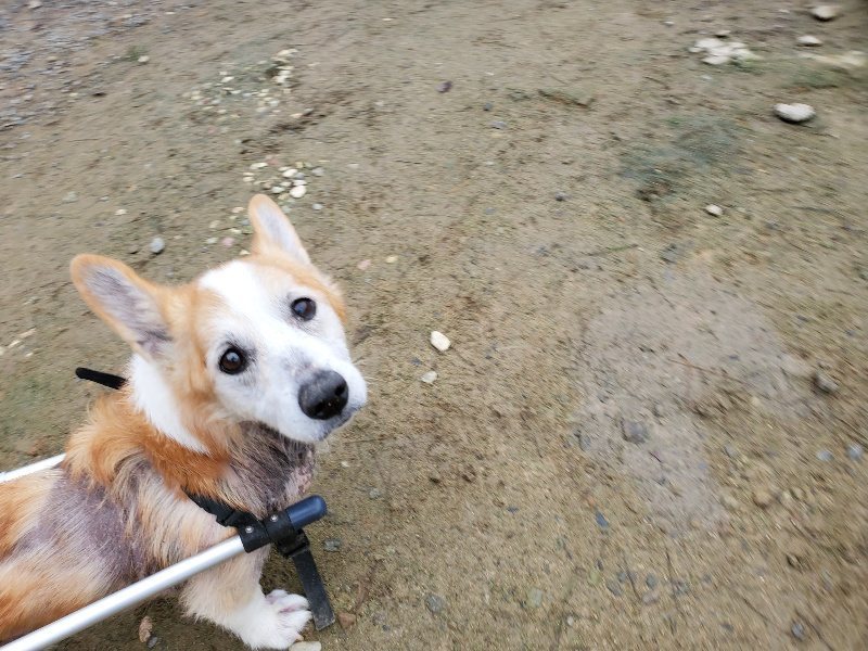 f:id:roukenhome-ann:20191021114732j:plain