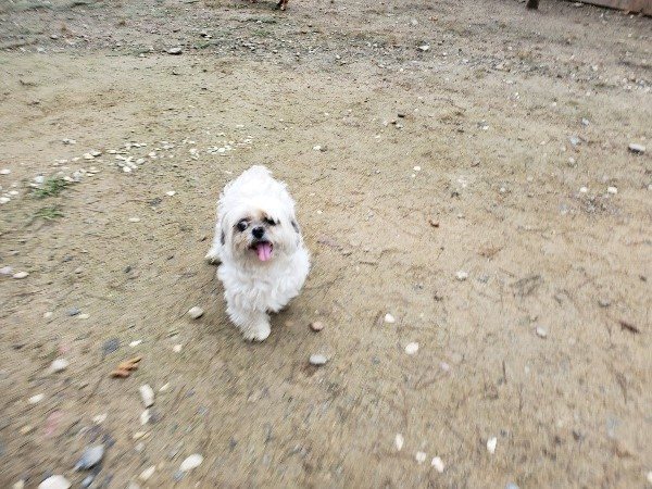 f:id:roukenhome-ann:20191021114755j:plain