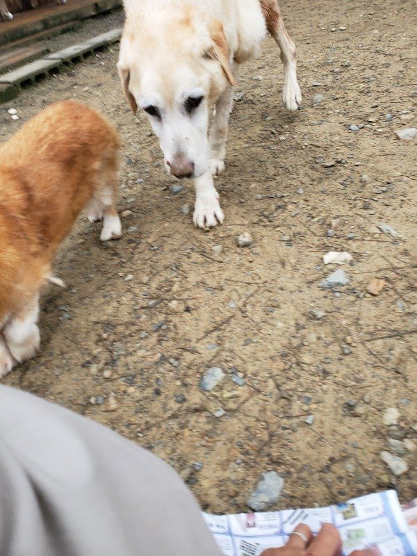 f:id:roukenhome-ann:20191021114834j:plain