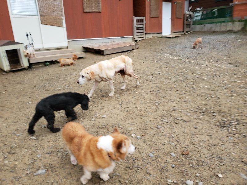 f:id:roukenhome-ann:20191021114847j:plain