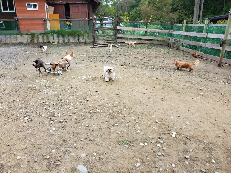 f:id:roukenhome-ann:20191021114918j:plain