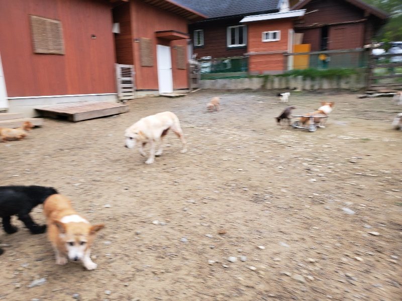 f:id:roukenhome-ann:20191021115008j:plain