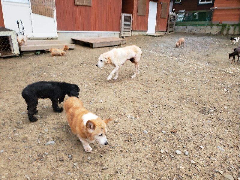 f:id:roukenhome-ann:20191021115056j:plain