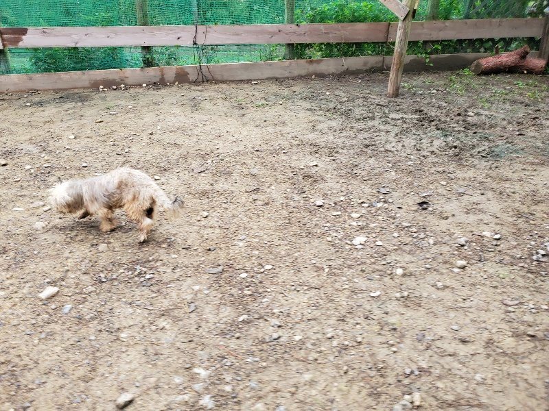 f:id:roukenhome-ann:20191021115128j:plain