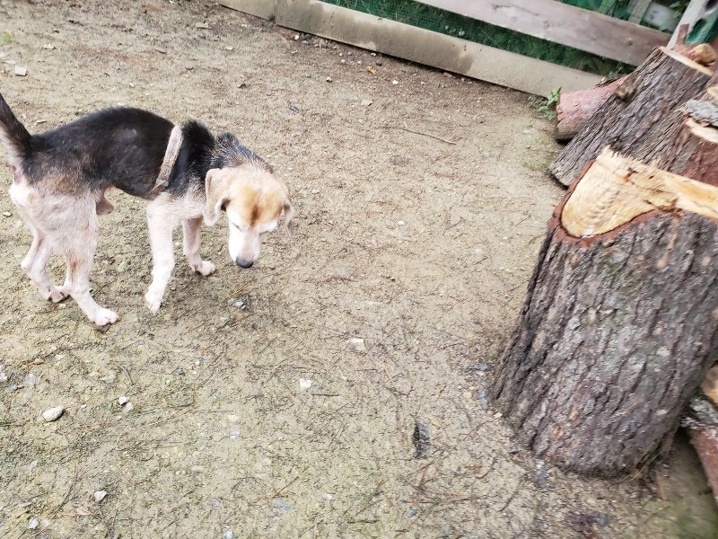f:id:roukenhome-ann:20191021115149j:plain