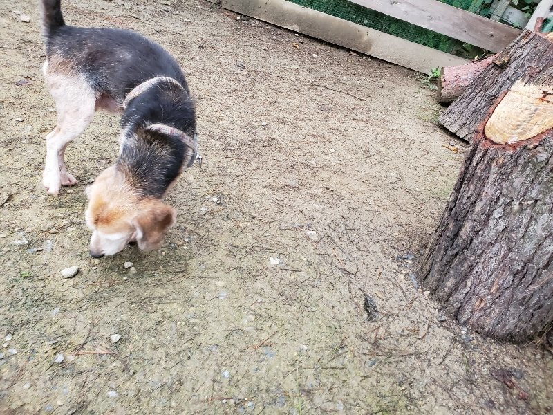 f:id:roukenhome-ann:20191021115321j:plain