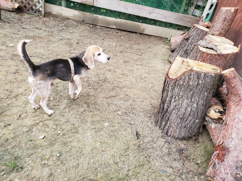 f:id:roukenhome-ann:20191021115413j:plain