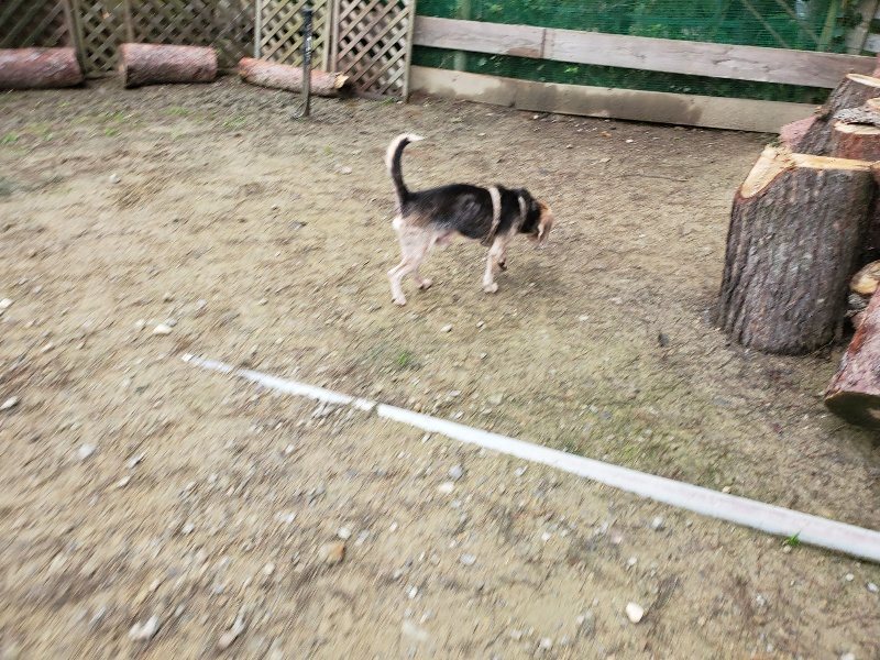 f:id:roukenhome-ann:20191021115538j:plain