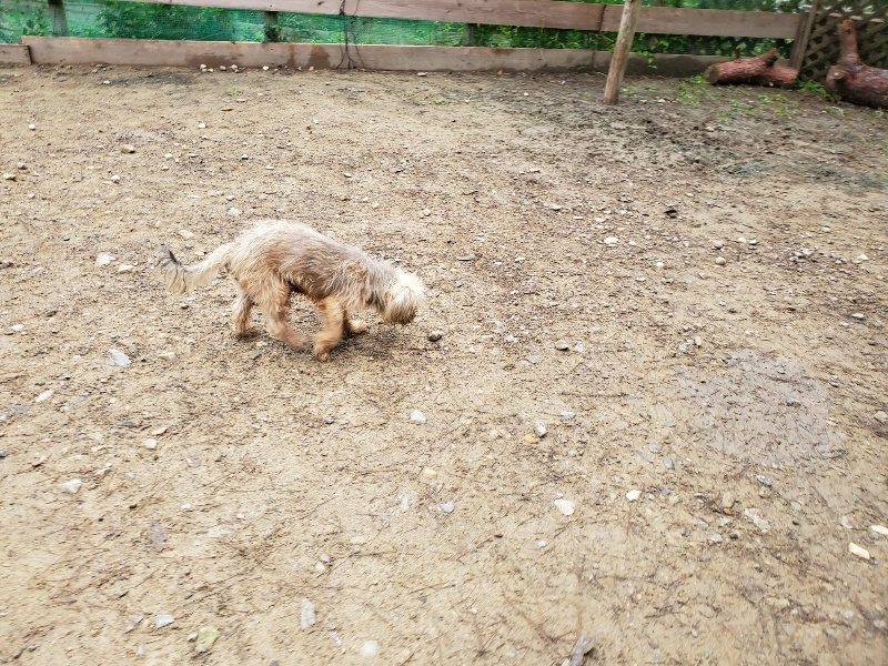 f:id:roukenhome-ann:20191021115721j:plain