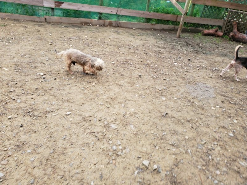 f:id:roukenhome-ann:20191021115835j:plain