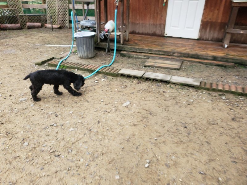 f:id:roukenhome-ann:20191021120043j:plain