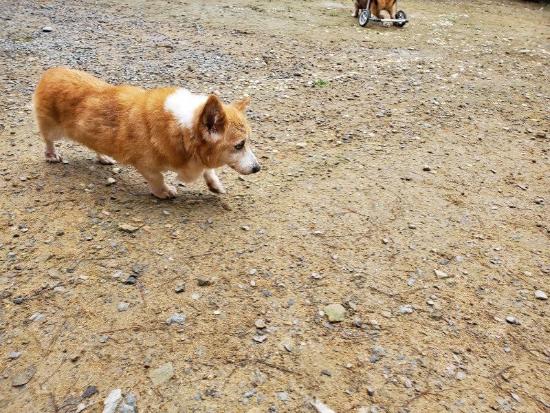 f:id:roukenhome-ann:20191021120253j:plain