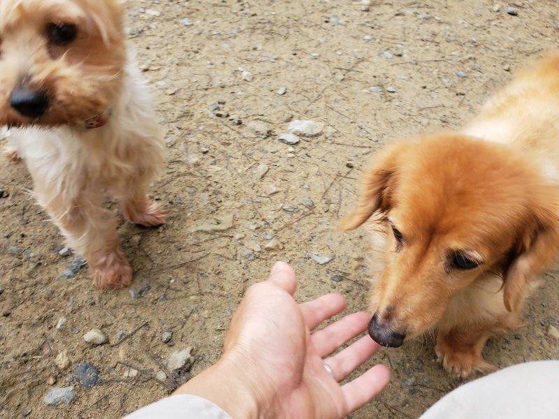 f:id:roukenhome-ann:20191021120401j:plain
