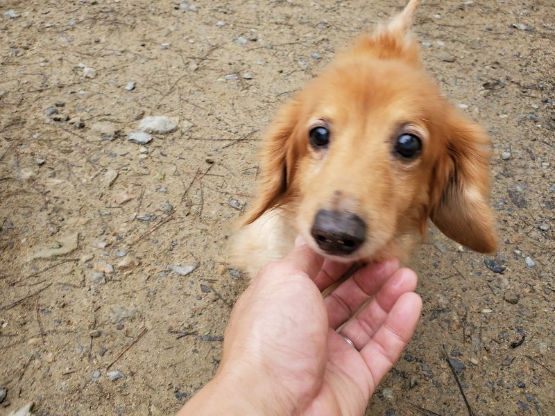 f:id:roukenhome-ann:20191021120443j:plain