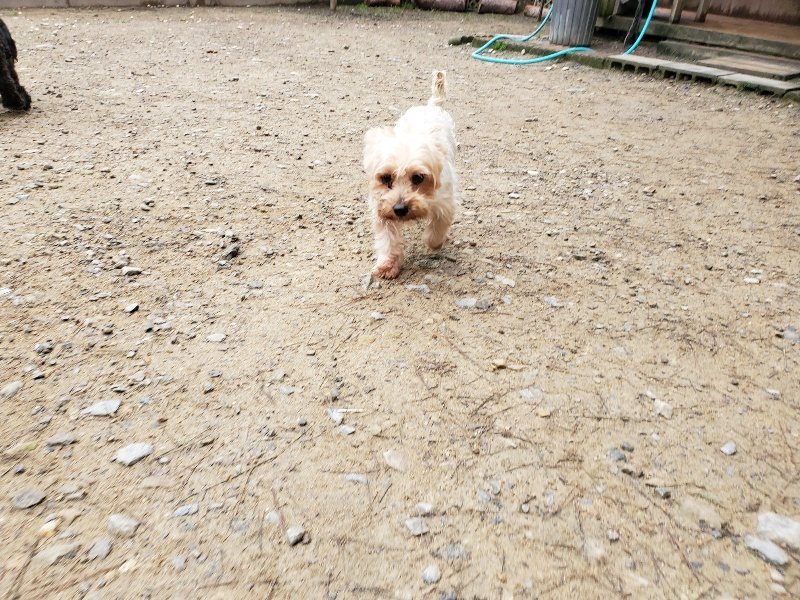 f:id:roukenhome-ann:20191021120838j:plain