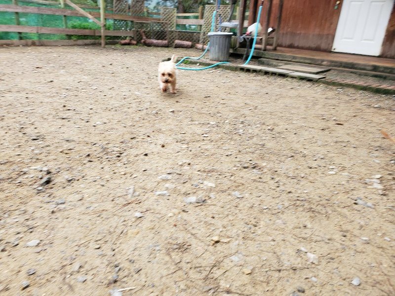 f:id:roukenhome-ann:20191021120854j:plain