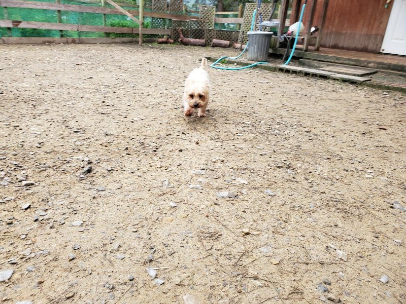 f:id:roukenhome-ann:20191021120916j:plain