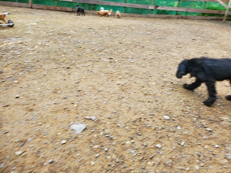 f:id:roukenhome-ann:20191021120932j:plain