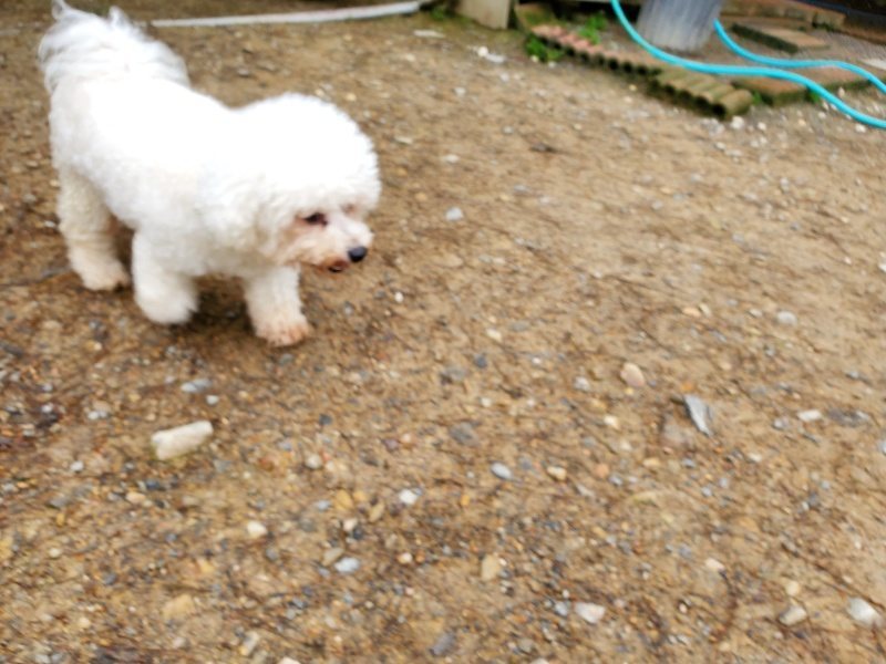 f:id:roukenhome-ann:20191021121400j:plain