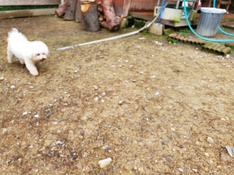 f:id:roukenhome-ann:20191021121509j:plain