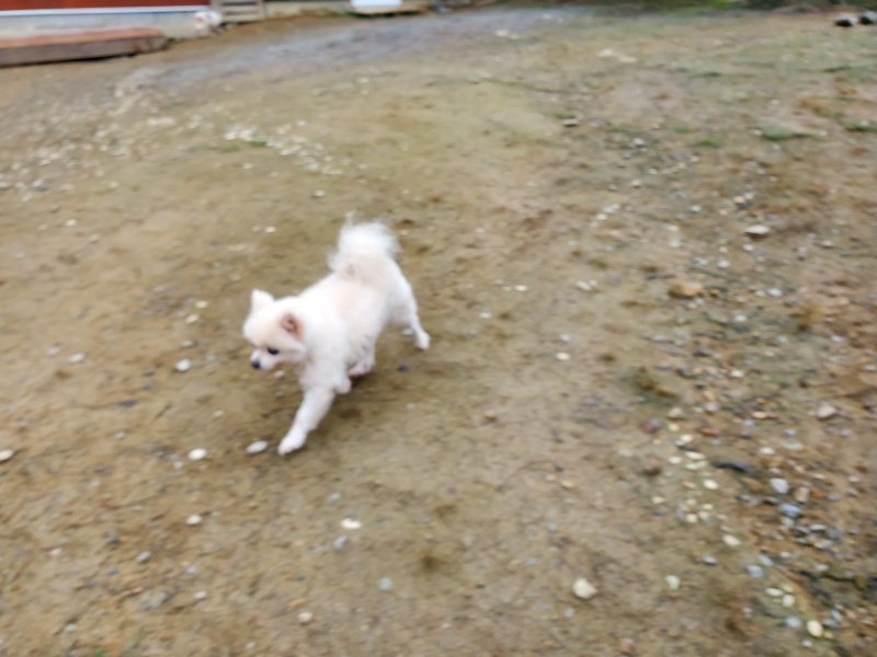 f:id:roukenhome-ann:20191021121554j:plain