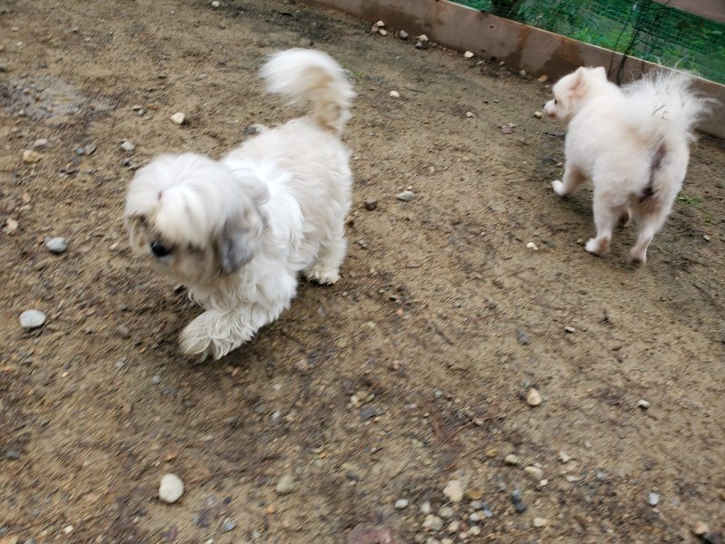 f:id:roukenhome-ann:20191021121802j:plain