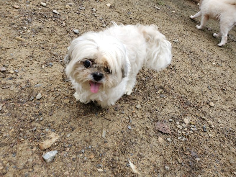 f:id:roukenhome-ann:20191021121954j:plain