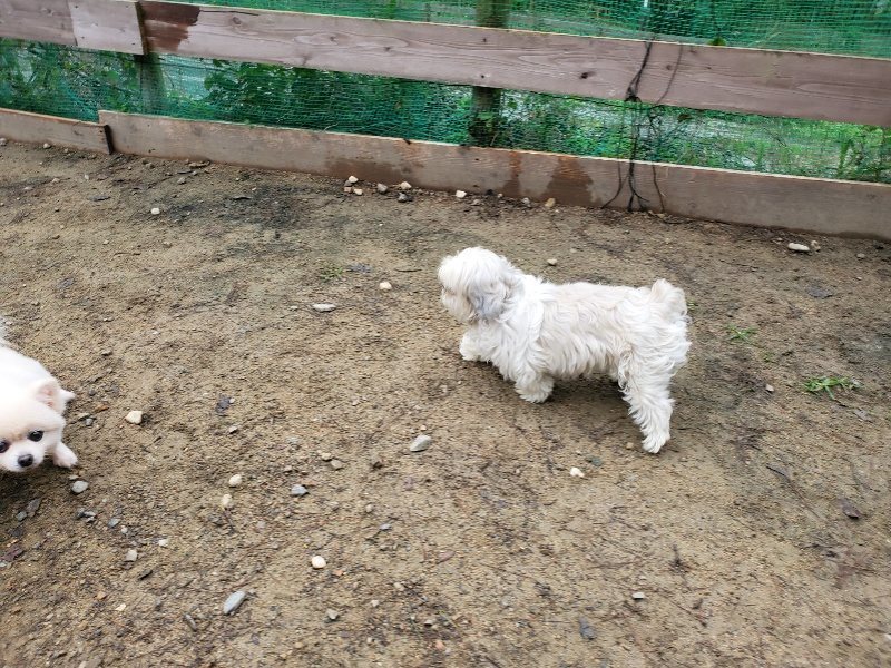 f:id:roukenhome-ann:20191021122259j:plain