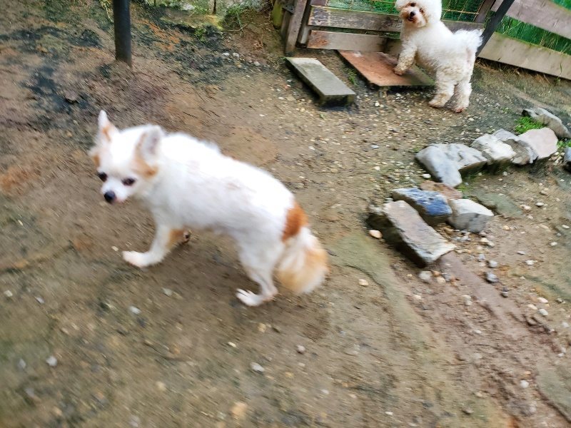f:id:roukenhome-ann:20191021122533j:plain