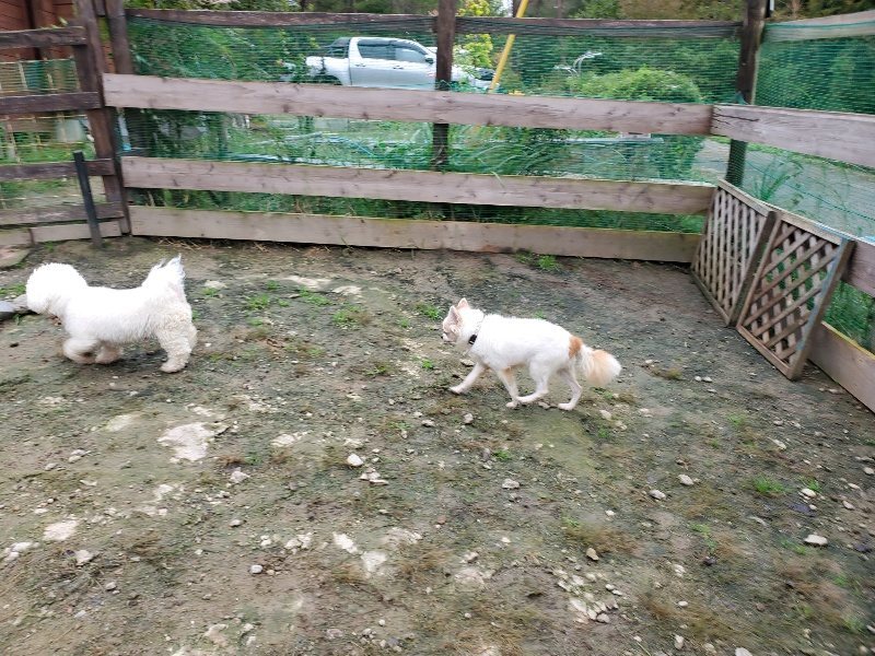 f:id:roukenhome-ann:20191021122841j:plain