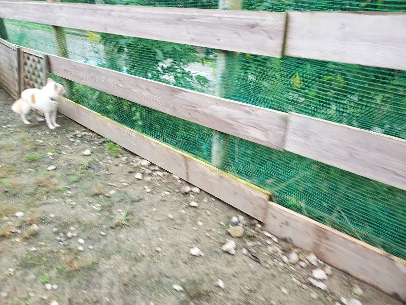 f:id:roukenhome-ann:20191021123543j:plain