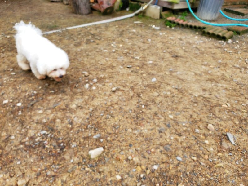 f:id:roukenhome-ann:20191021124004j:plain