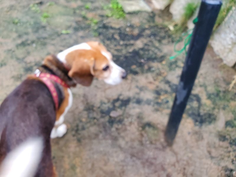 f:id:roukenhome-ann:20191021132112j:plain
