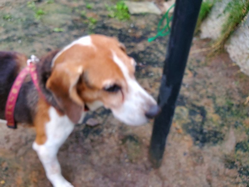 f:id:roukenhome-ann:20191021132123j:plain