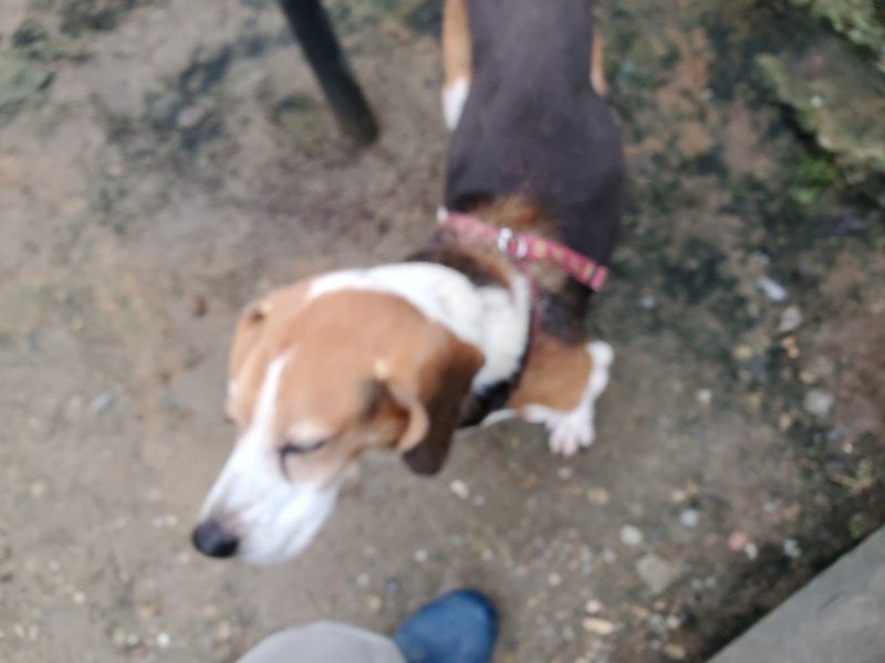 f:id:roukenhome-ann:20191021132128j:plain