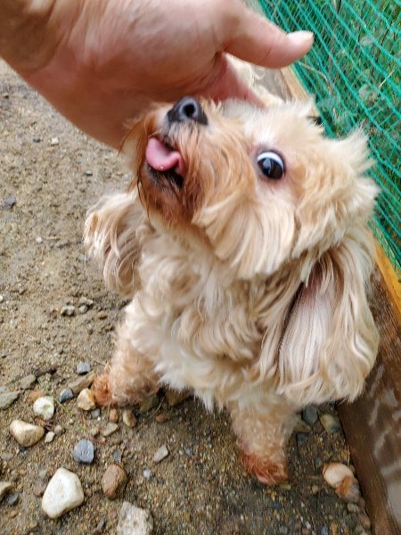 f:id:roukenhome-ann:20191021132133j:plain