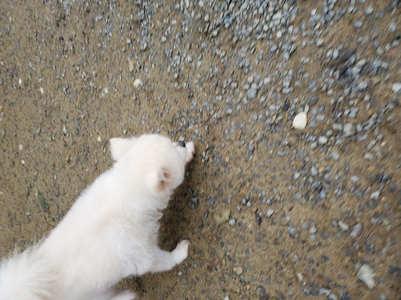 f:id:roukenhome-ann:20191021132209j:plain