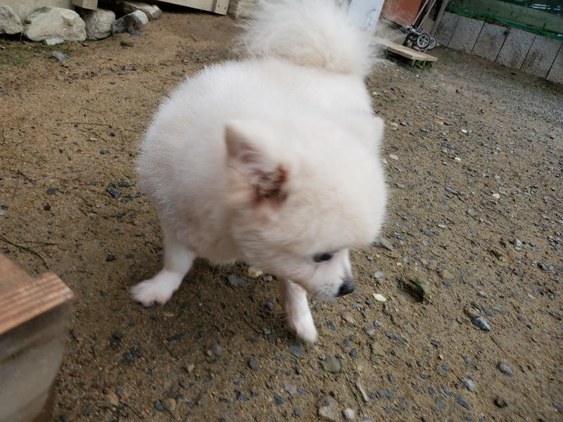 f:id:roukenhome-ann:20191021132221j:plain