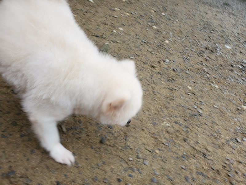 f:id:roukenhome-ann:20191021132233j:plain